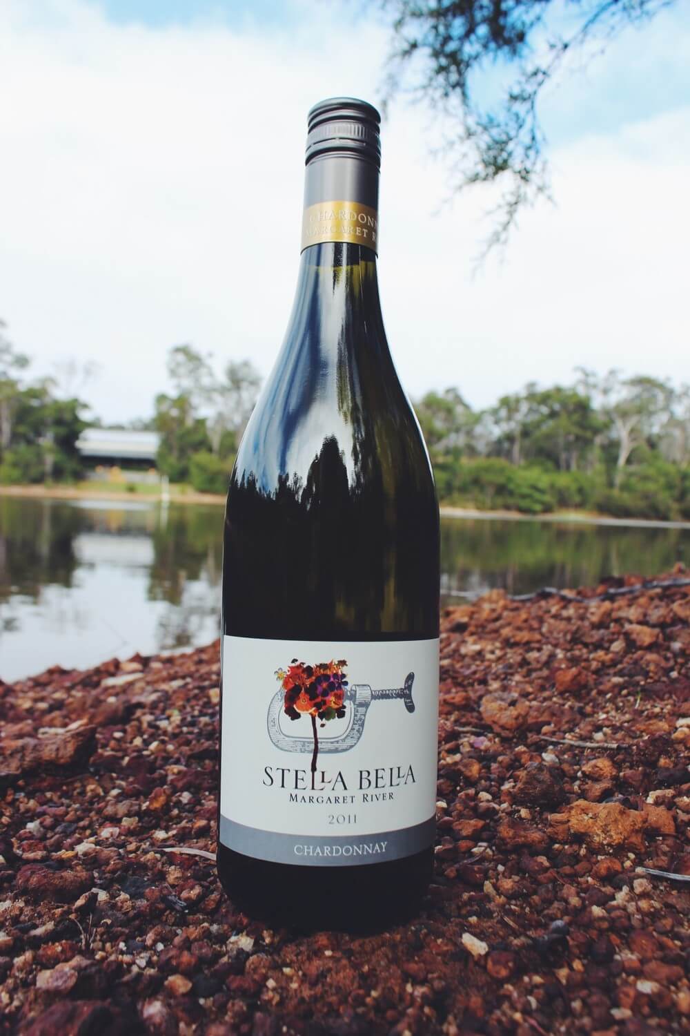 stella bella chardonnay